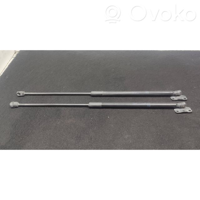 Tailgate/trunk strut/damper   13428064,315005777