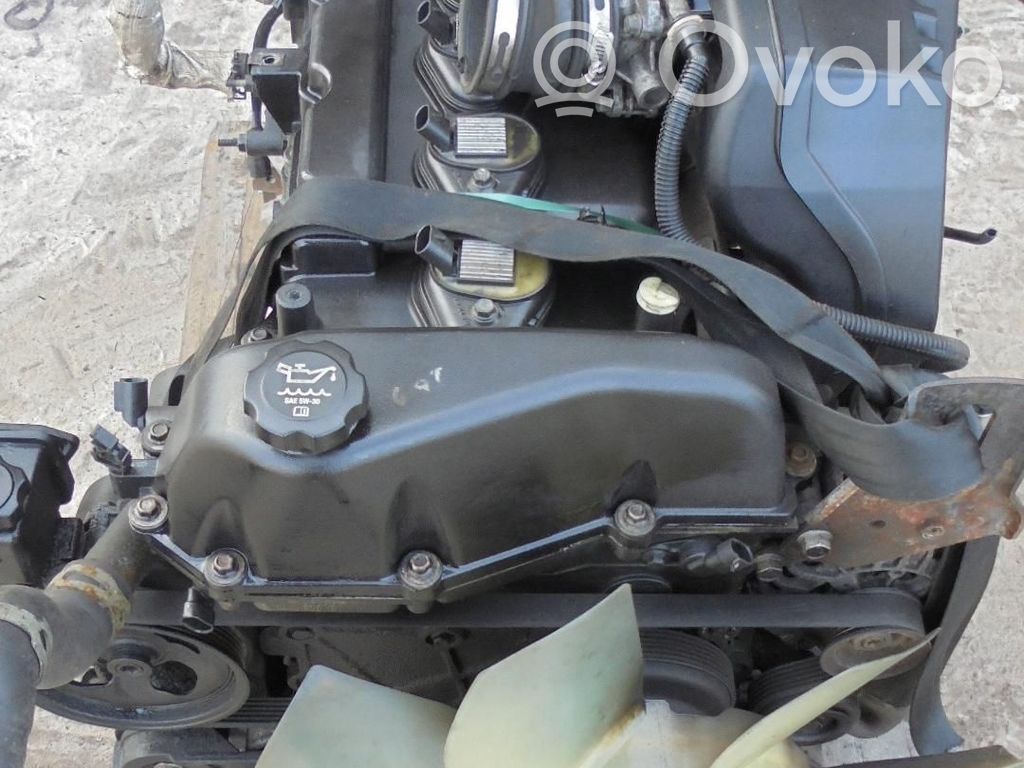 Motor