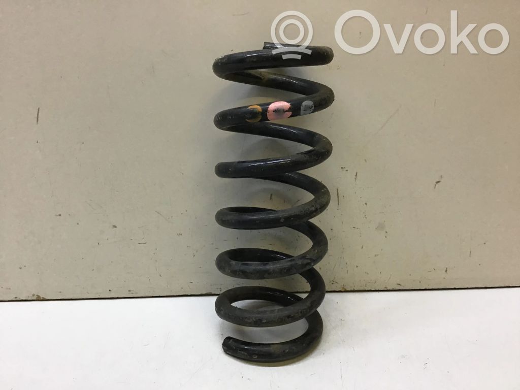 Rear coil spring