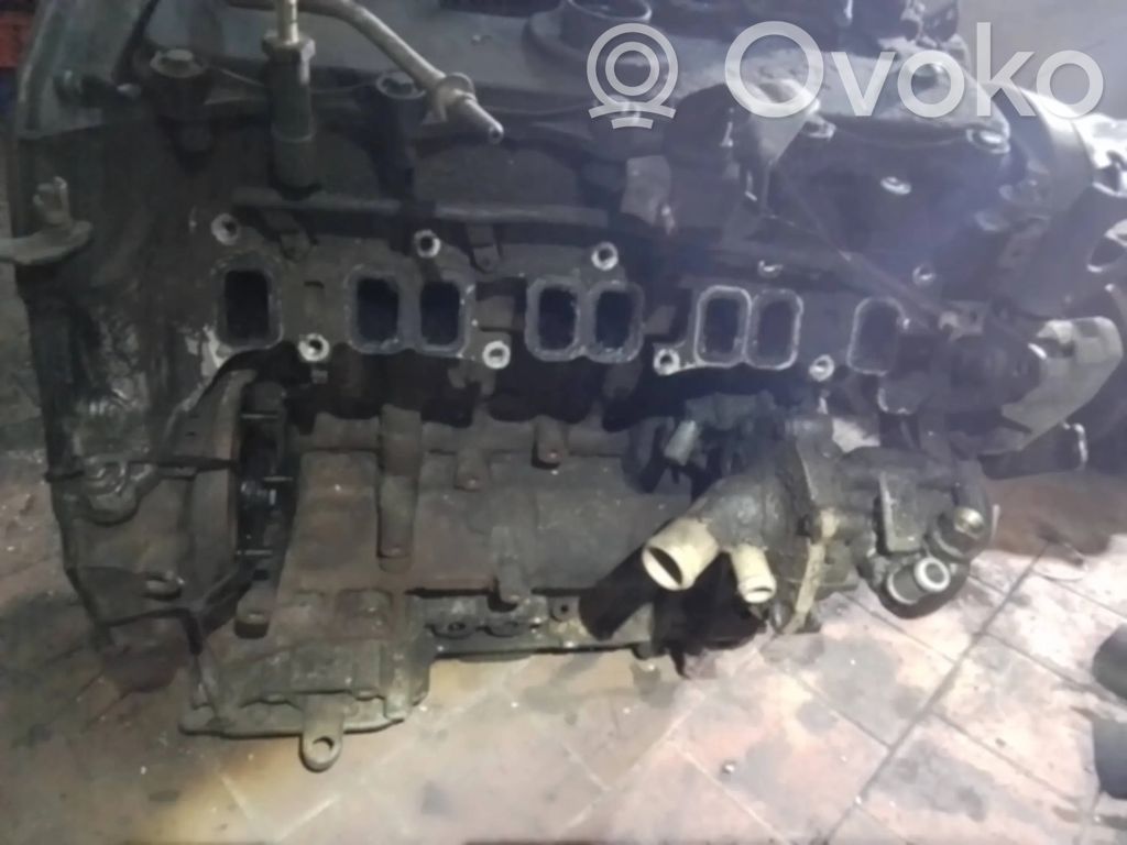 Ford Transit Variklis 