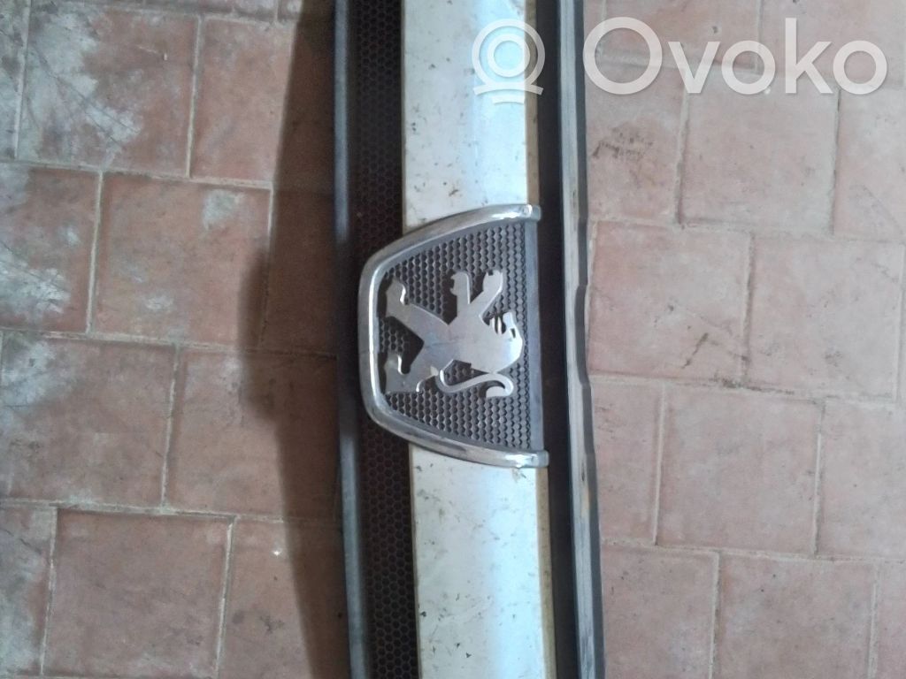 Peugeot Boxer Etusäleikkö 