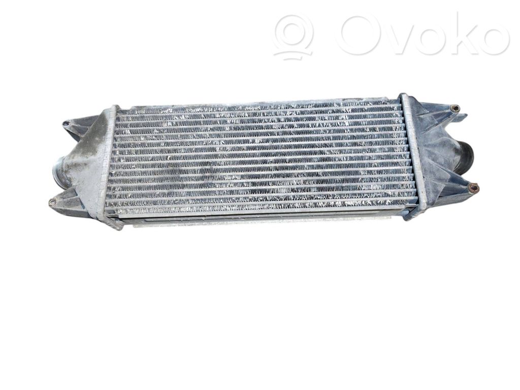 Chłodnica powietrza doładowującego / Intercooler   504022617