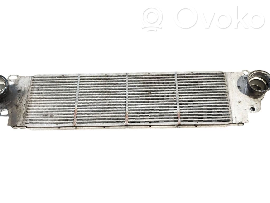 Volkswagen Transporter - Caravelle T5 Interkūlerio radiatorius 