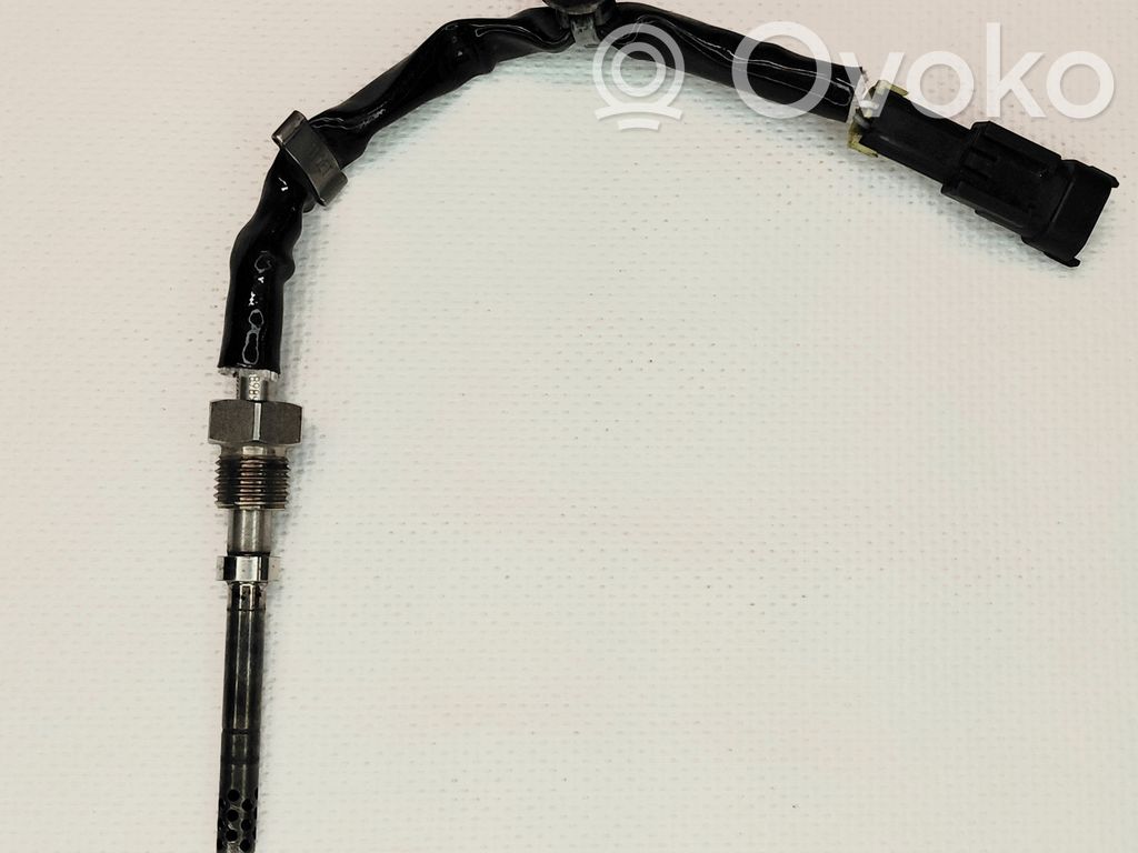 Opel Antara Exhaust gas temperature sensor 
