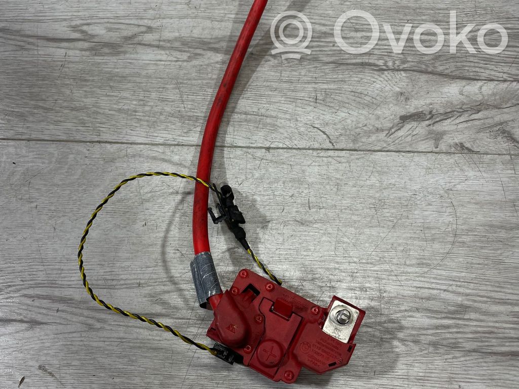 Positive cable (battery)   9184191,9184190,0177080