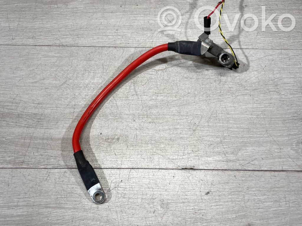BMW 3 F30 F35 F31 Plusa vads (akumulatora) 