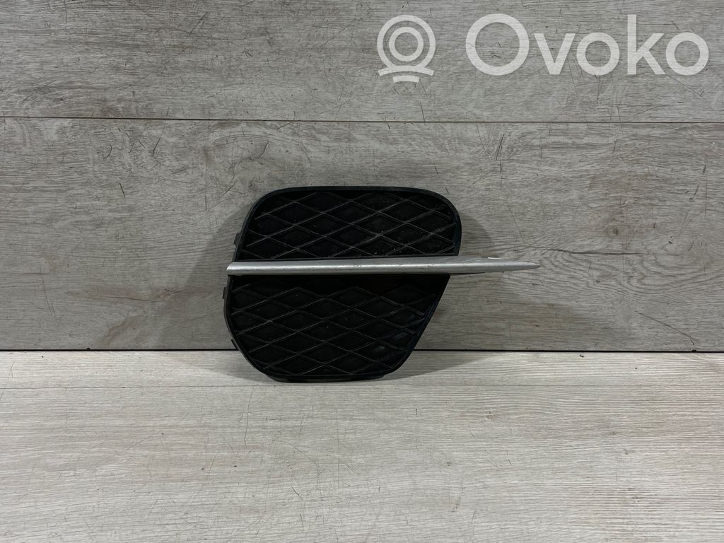 BMW X5 E70 Front bumper lower grill 