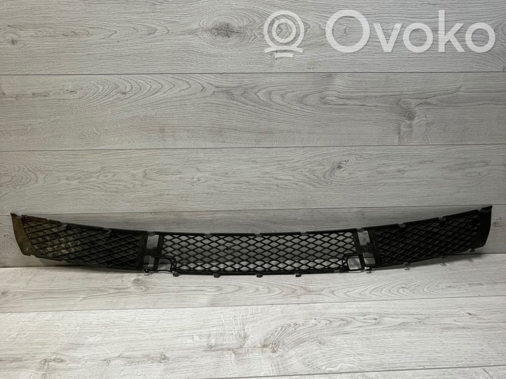 Front bumper lower grill   3400908,12125310,013478