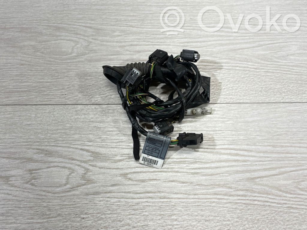 Cableado del sensor de aparcamiento (PDC)   6906341,0T8800I10,W89933,1189069