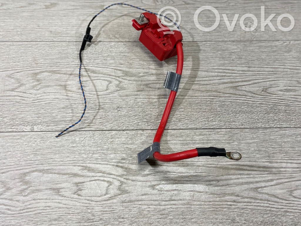 BMW 1 E82 E88 Positive cable (battery) 