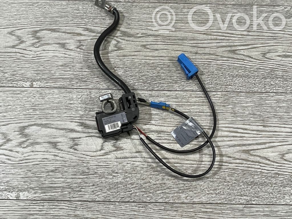 Negative earth cable (battery)   9184207,118455436,14945110