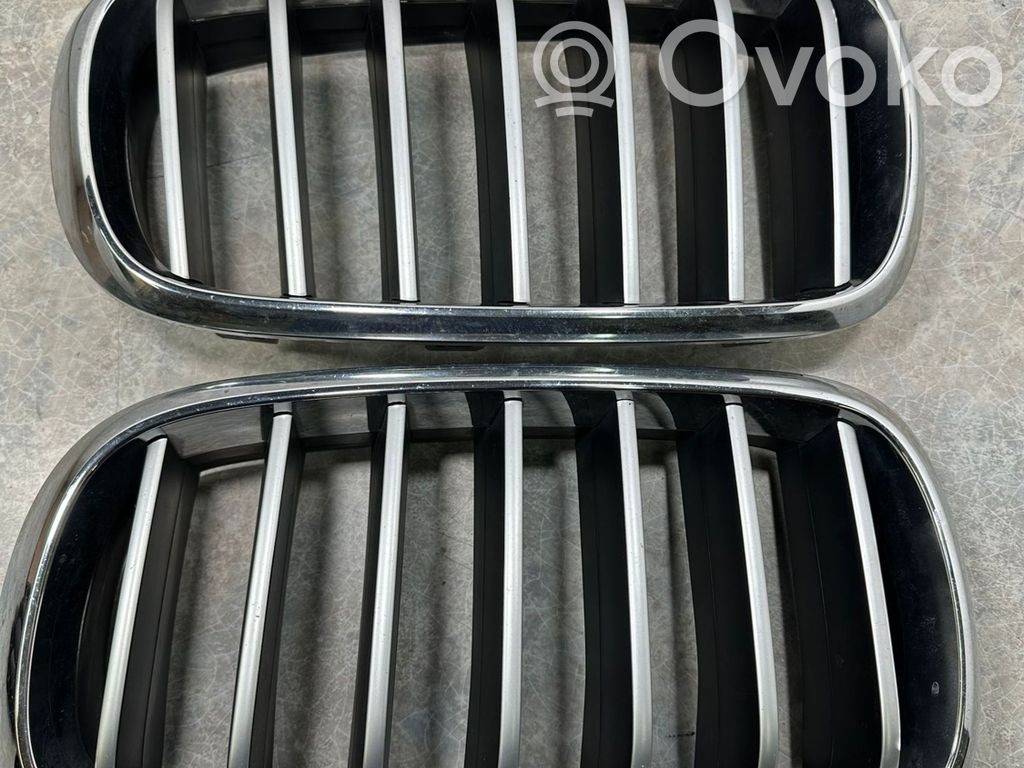 BMW X5 F15 Griglia anteriore 