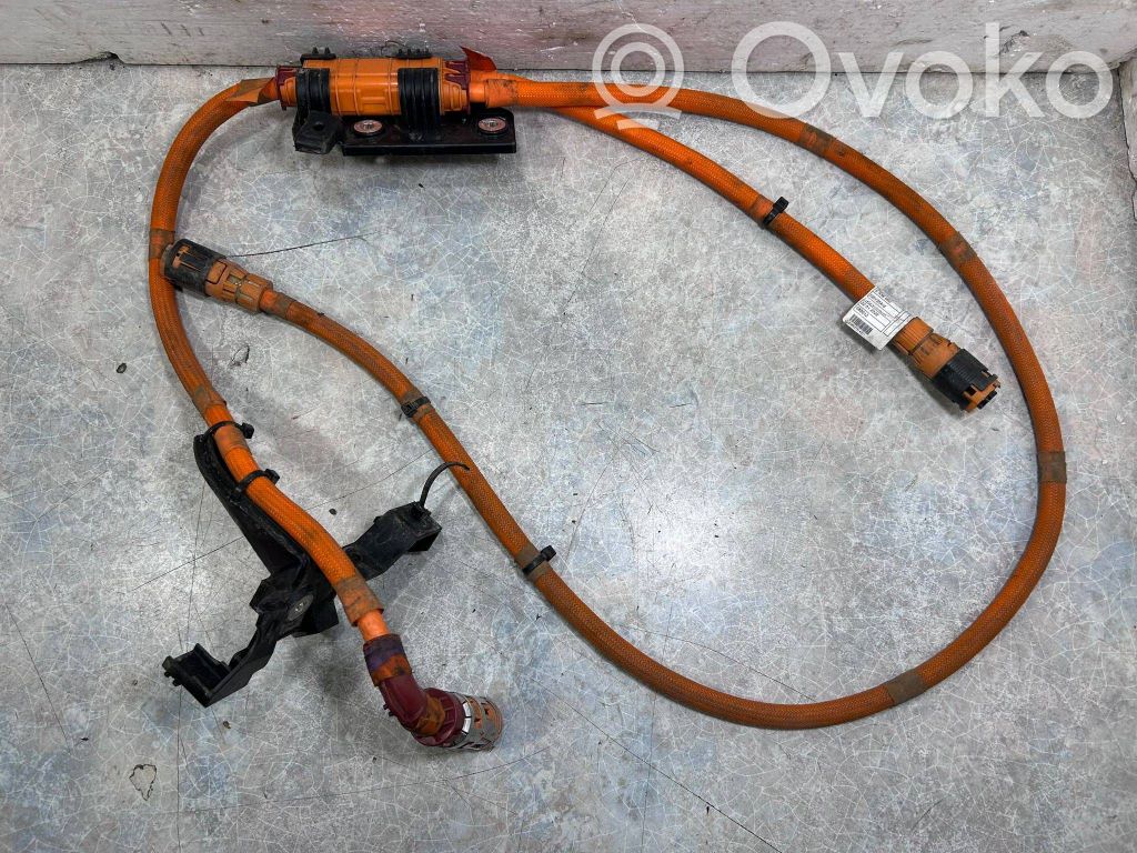 Positive wiring loom   5A36061