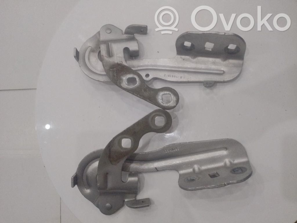 Ford B-MAX Dzinēja pārsega eņģe (-es) 