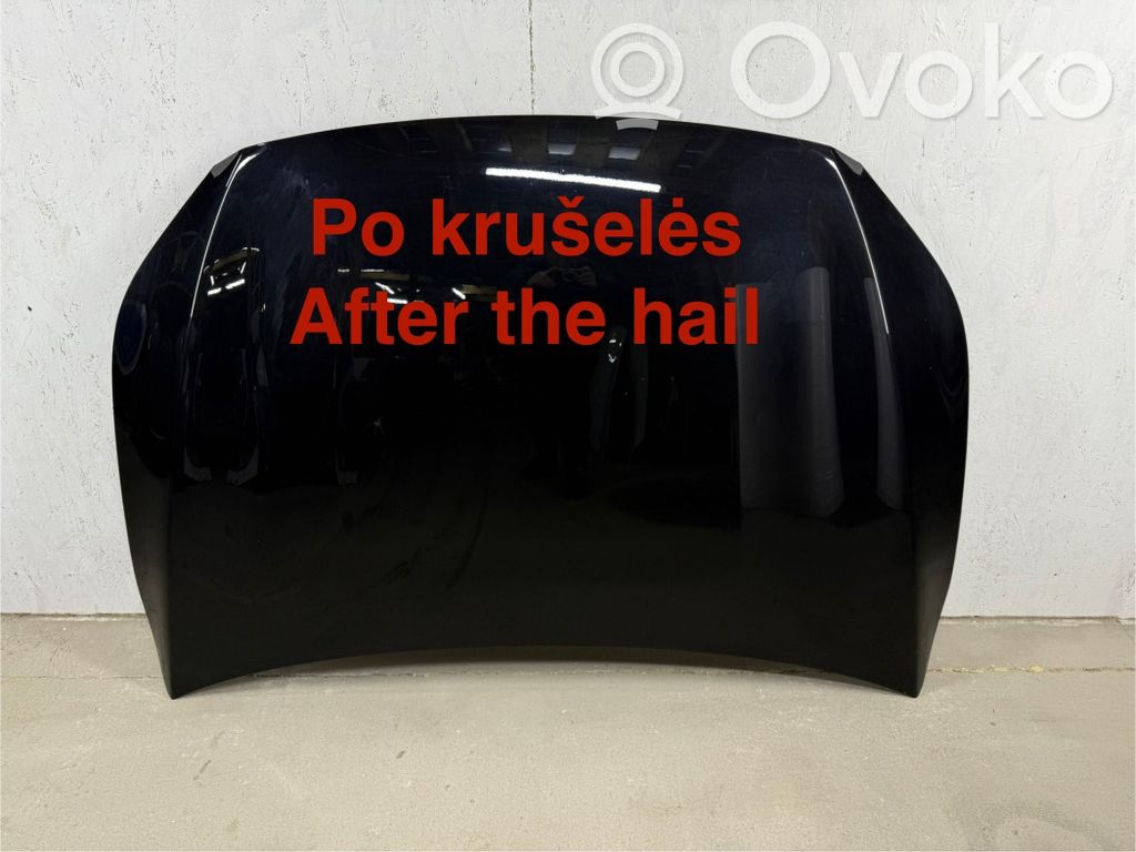 Dzinēja pārsegs (vāks)