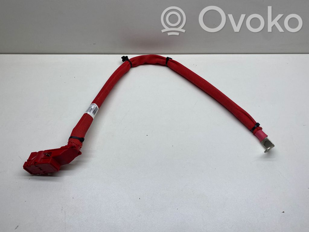 BMW X3 G01 Positive cable (battery) 