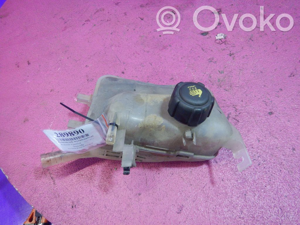 Renault Fluence Serbatoio di compensazione del liquido refrigerante/vaschetta