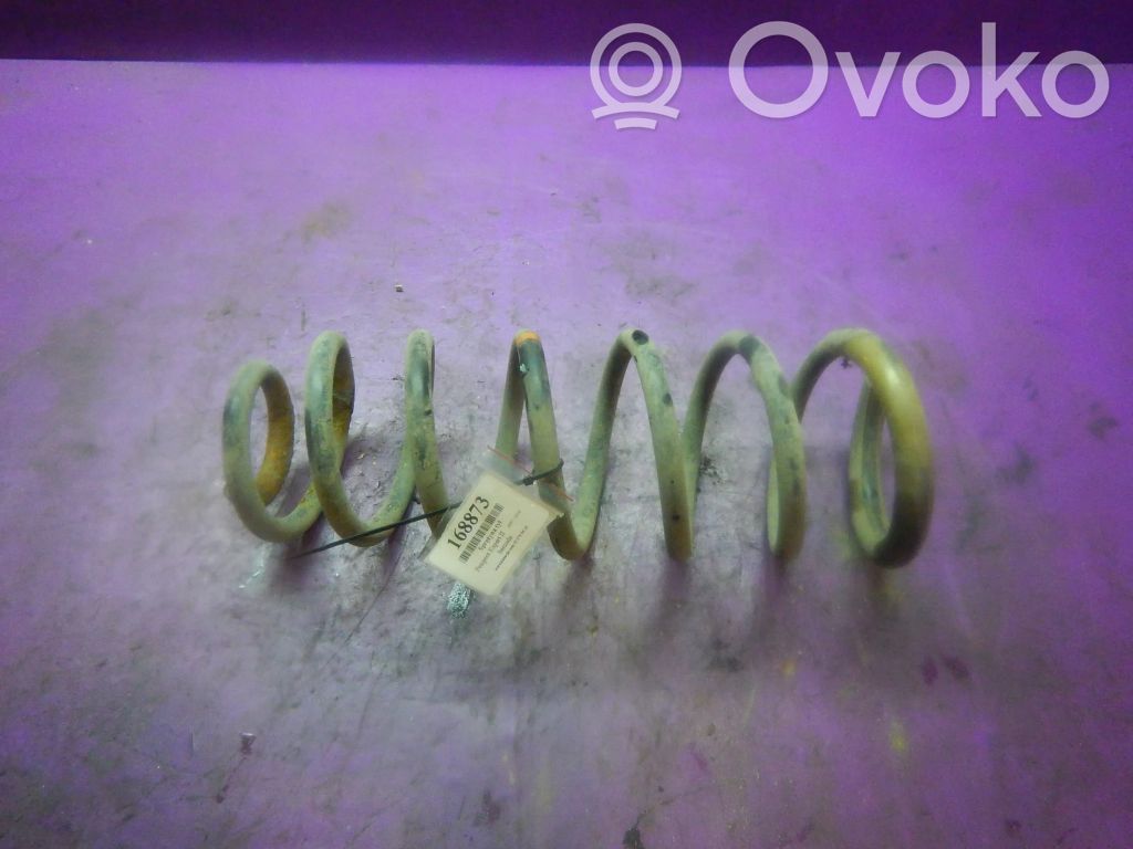 Muelle espiral trasero