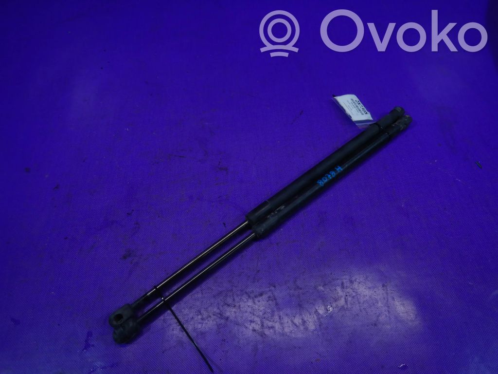Tailgate strut   D65162620,D65162620