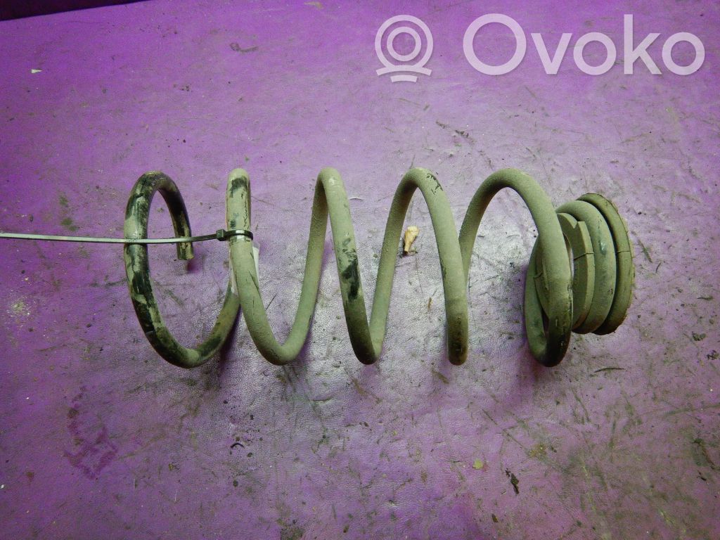 Muelle espiral trasero