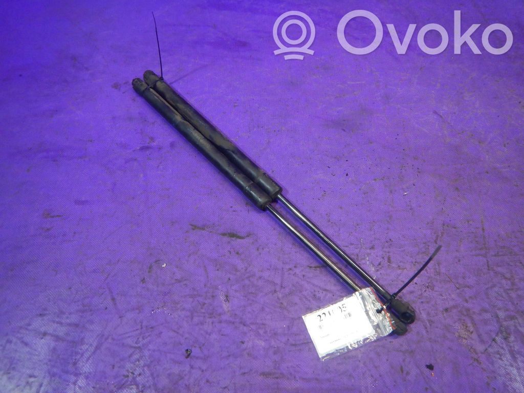 Jambe de force de hayon