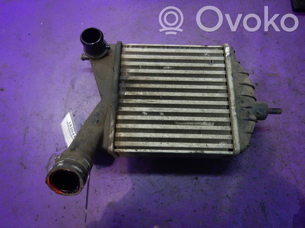 Fiat Punto (188) Intercooler radiator 