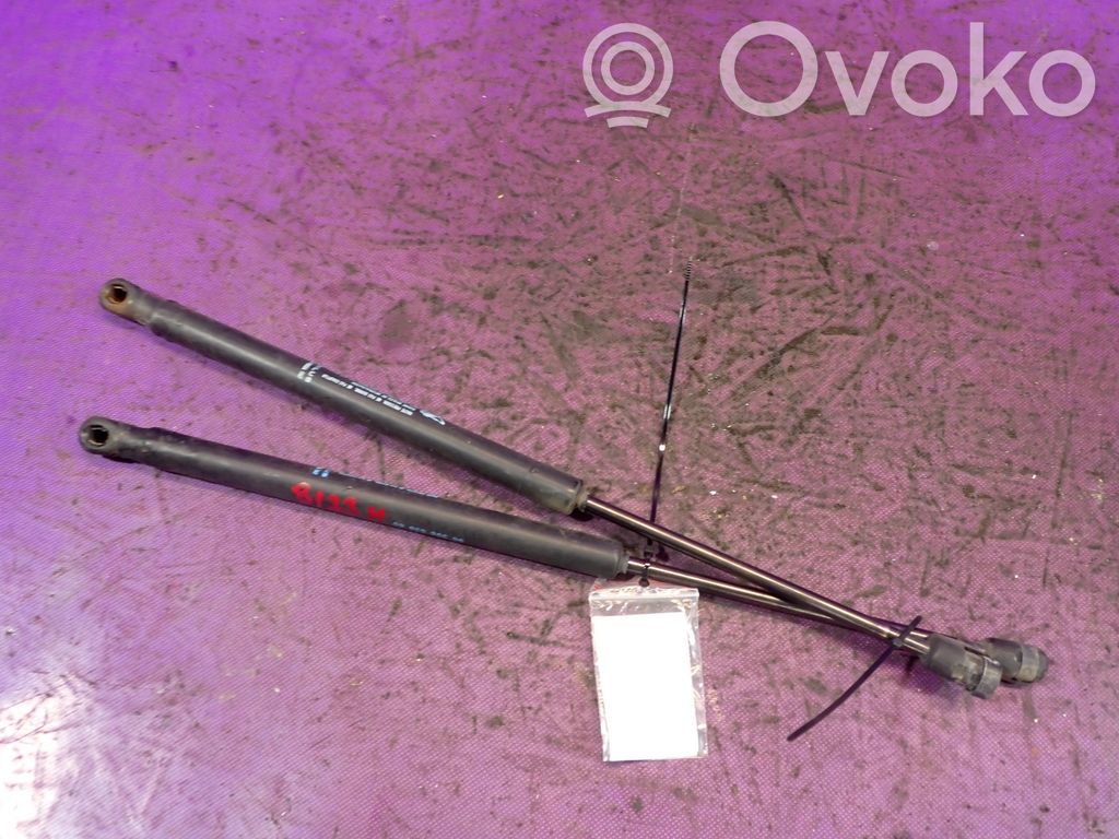 Citroen C3 Jambe de force de hayon 