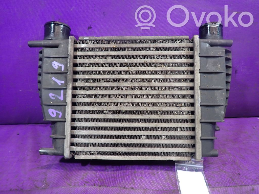 Renault Clio III Radiatore intercooler 
