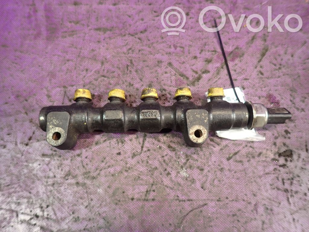 Peugeot 307 Rampă alimentare injectoare 