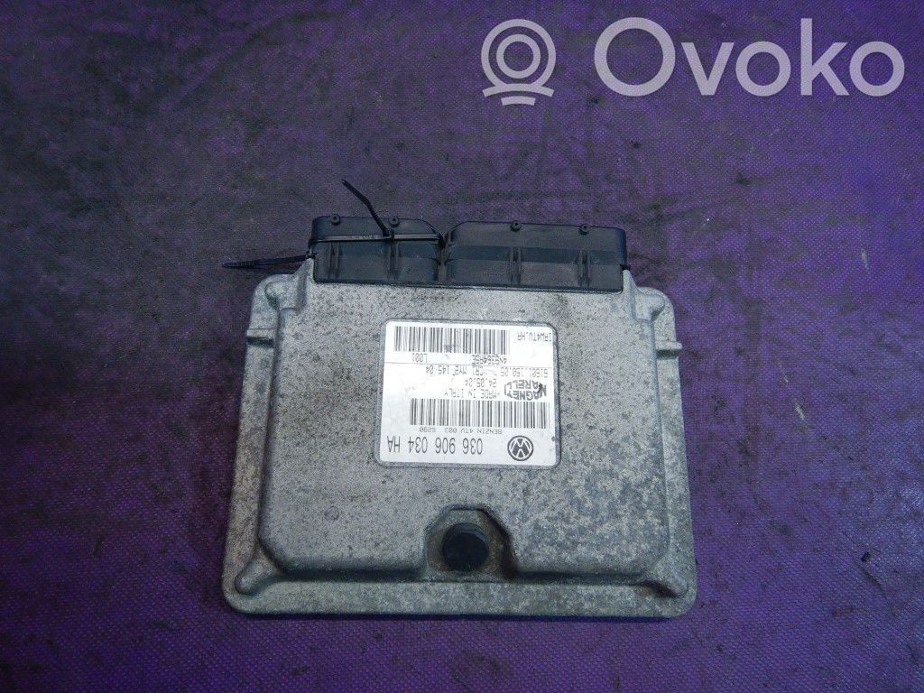 Seat Ibiza III (6L) Centralina/modulo motore ECU