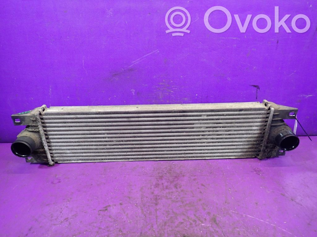 Intercooler radiator   867658F,867658F