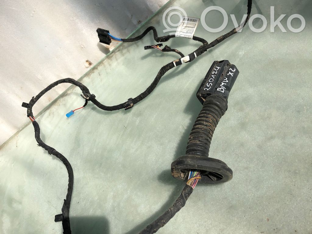 BMW X2 U10 Cableado de puerta trasera 