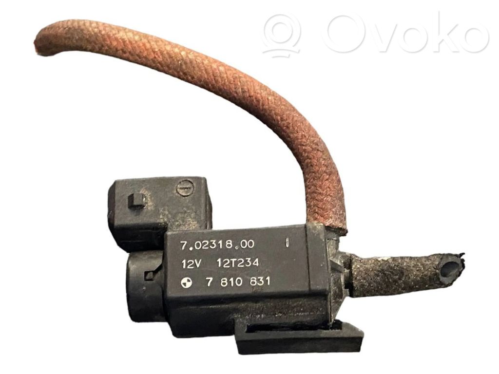 Solenoidinis vožtuvas   7810831,70231800,12T234