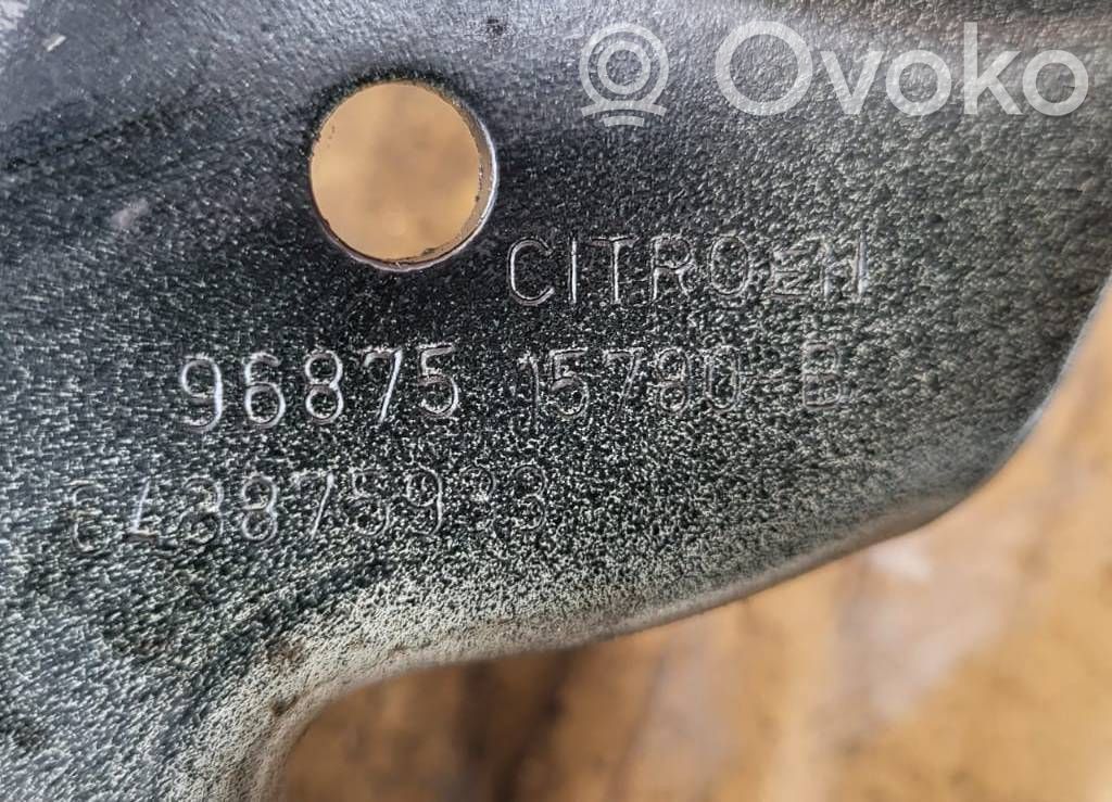 Citroen DS4 Cerniere del vano motore/cofano 
