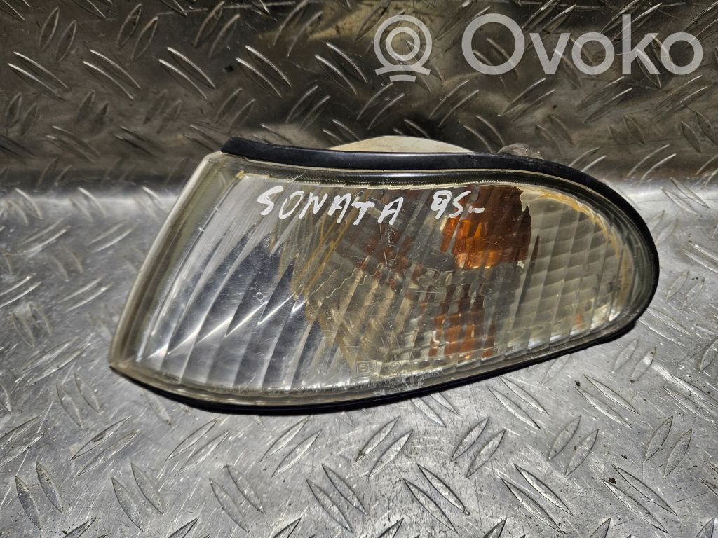 Hyundai Sonata Front indicator light 