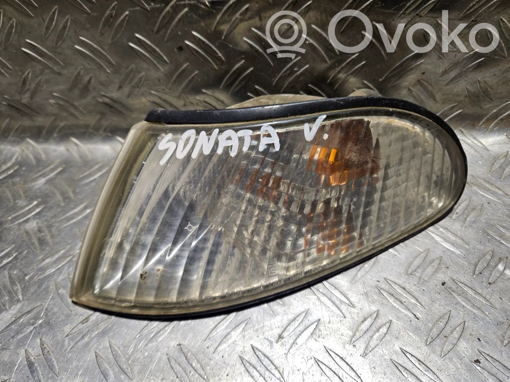 Hyundai Sonata Front indicator light 