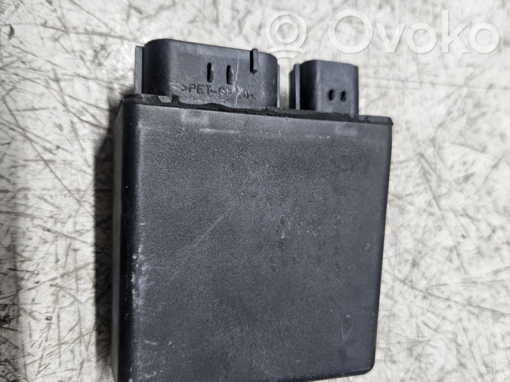 Rover 620 Other control units/modules 