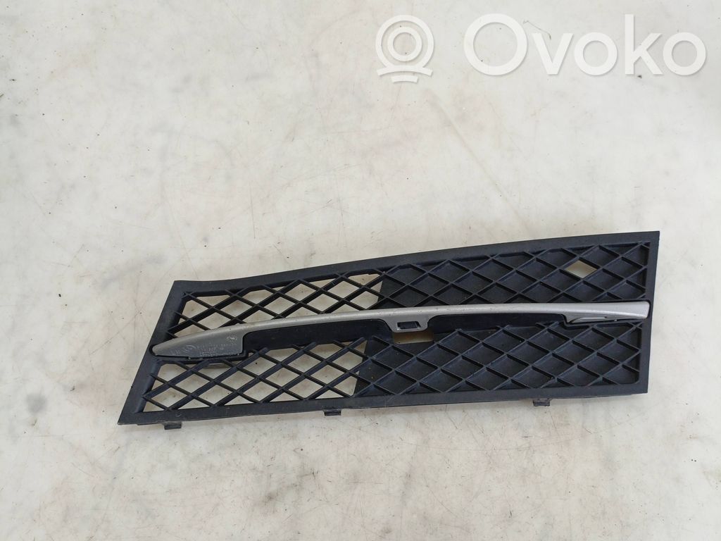 BMW 5 F10 F11 Front bumper lower grill 