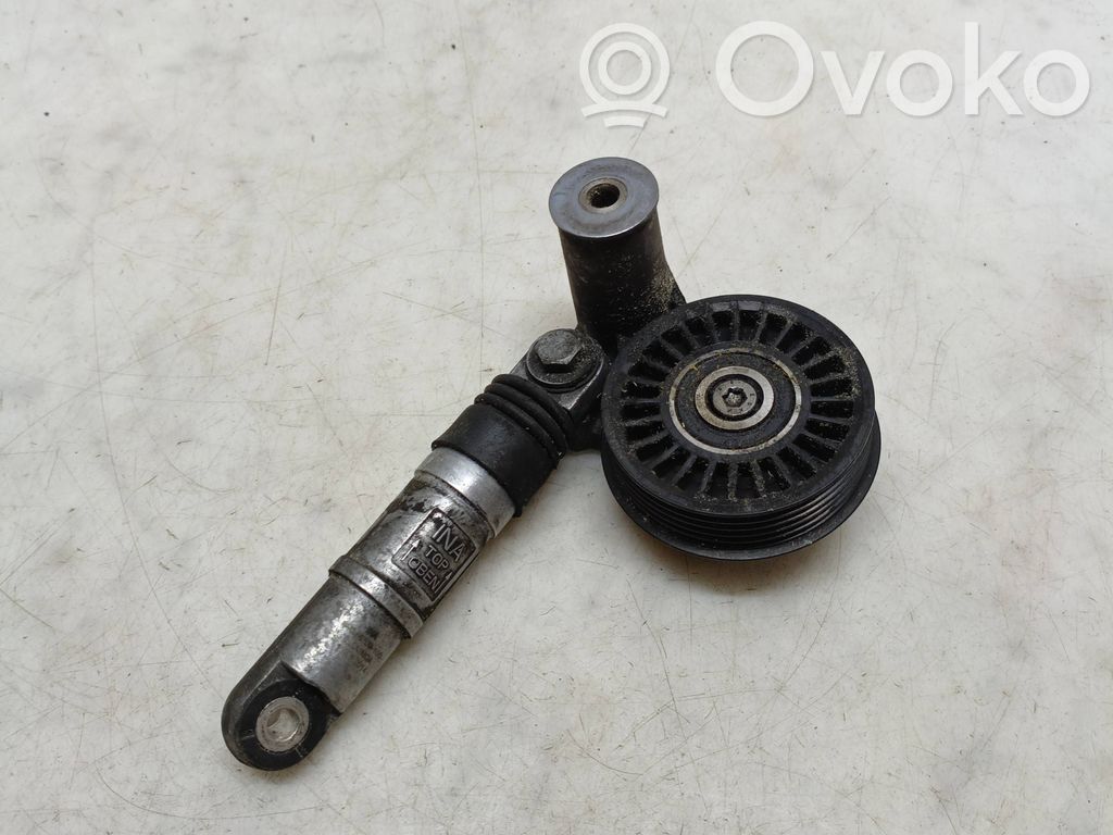 Volkswagen PASSAT B5.5 Napinacz paska alternatora 