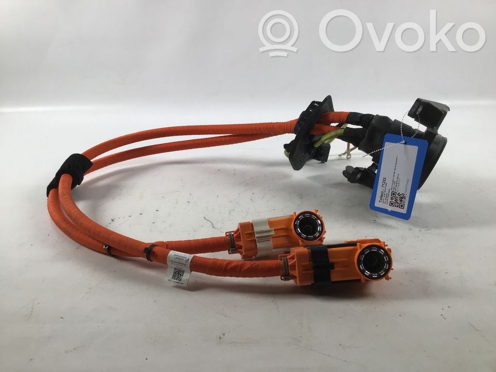 Audi e-tron Cable de carga del coche eléctrico 