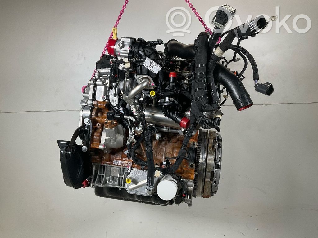 Motor   2365401