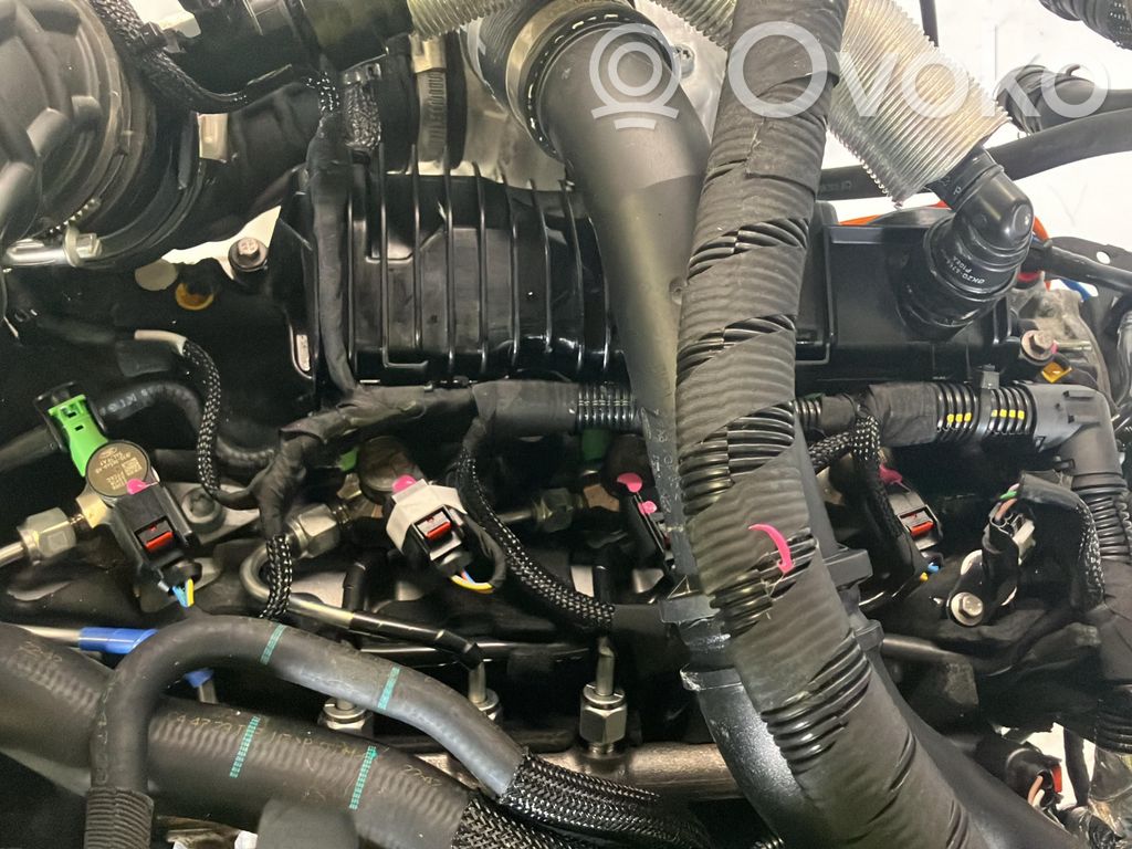 Engine   2365401