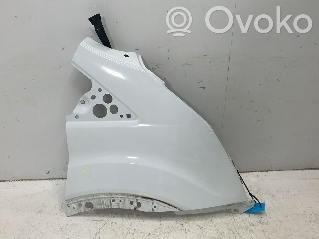 Guardabarro   2238165