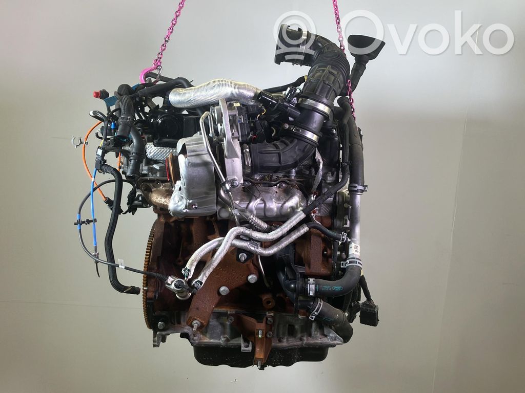 Motor   2365401