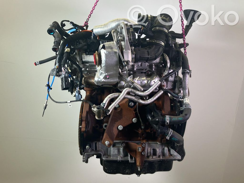 Ford Transit Motore 