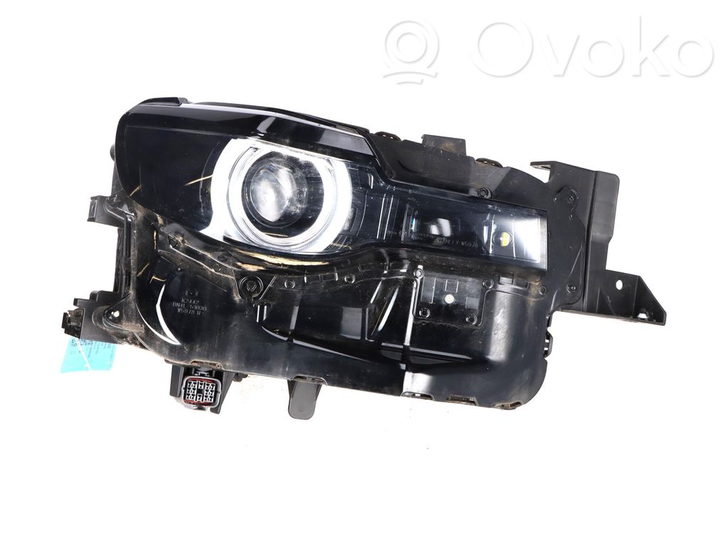 Scheinwerfer   DN4L51030