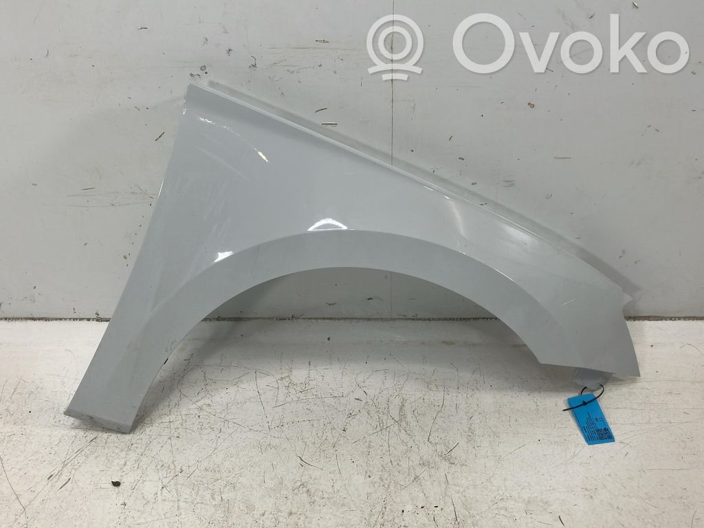 Guardabarro   3V0821106