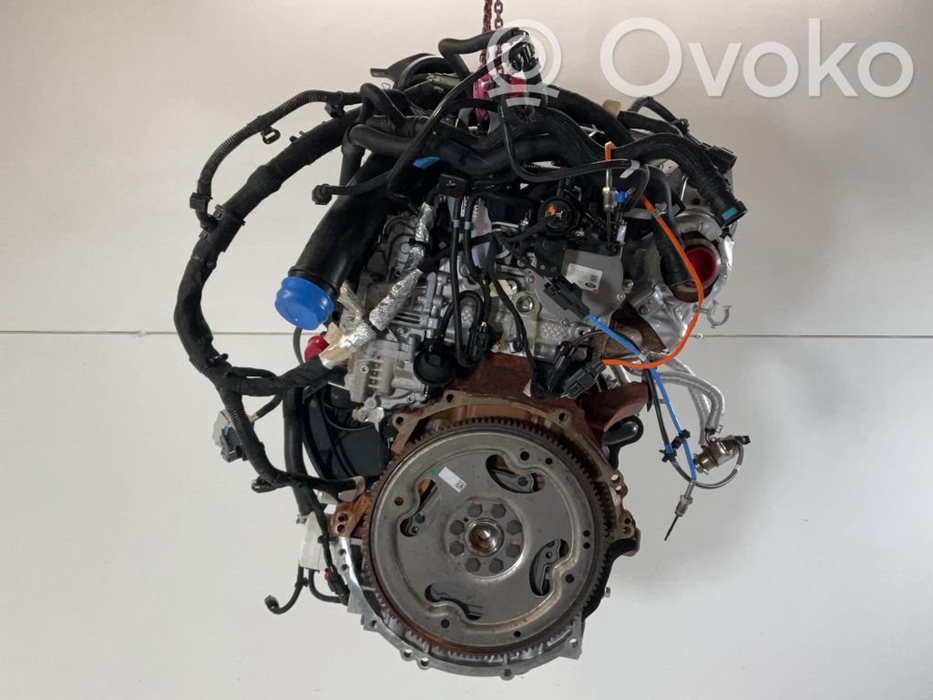 Ford Transit Motore 