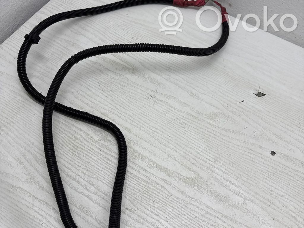 Plus / Klema / Przewód akumulatora   7800163,26022010,780016402,61077178