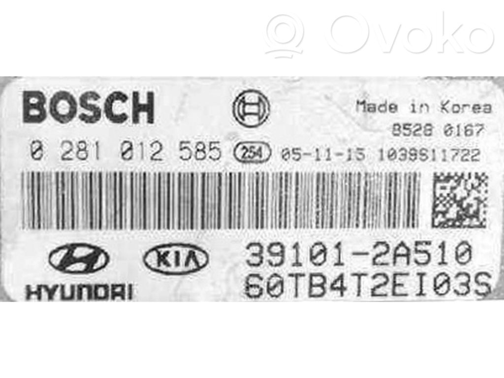 Engine control unit/module ECU   391012A510,0281012585